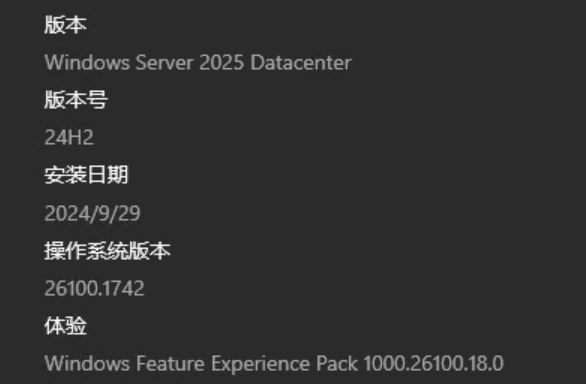 WinServer2025 正式版 的抽象bug 