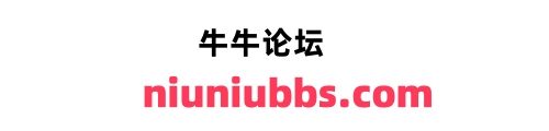 探索 301 重定向：从困惑到精通的数字之旅 