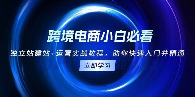 分享一个 独立站建站+运营实战教程 