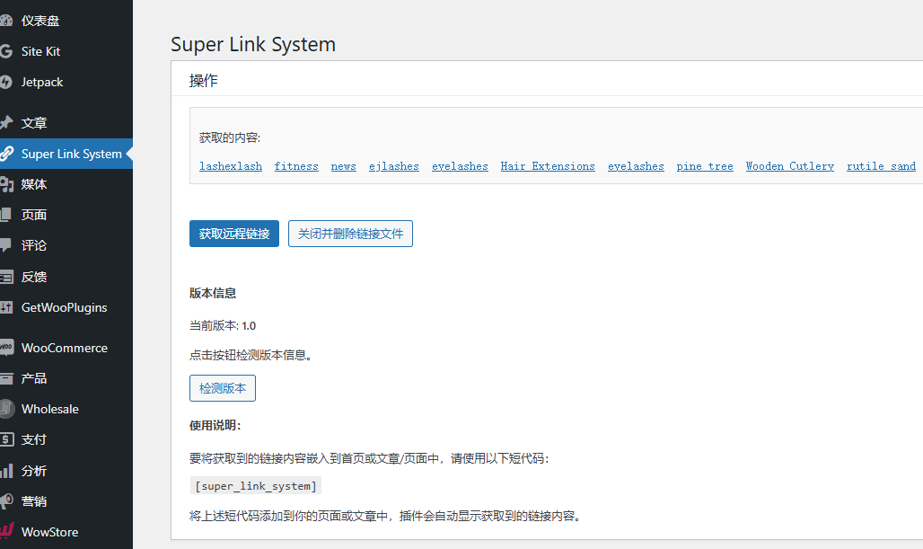 使用deepseek开发的wordpress 插件 